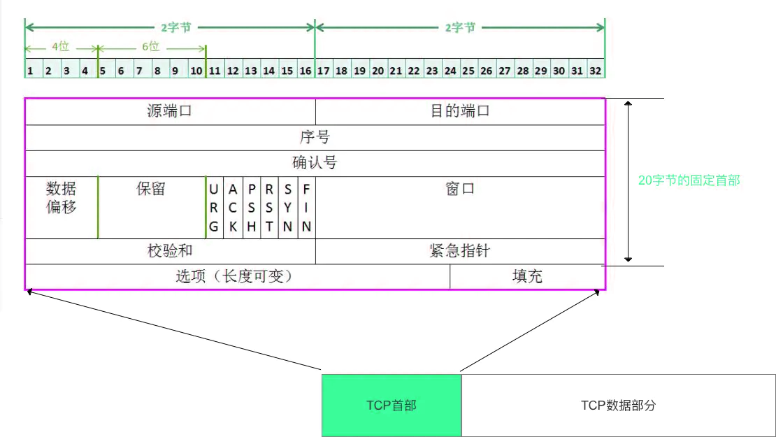 tcp 头部